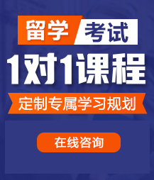 日逼网站灰丝留学考试一对一精品课